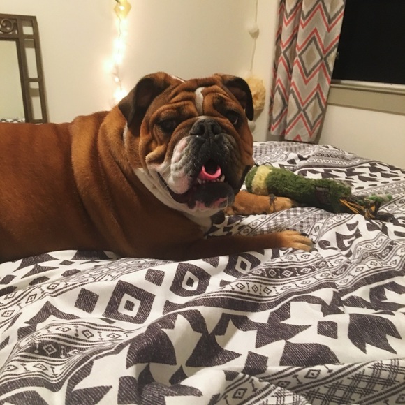 Meet your Posher, Ashley - Picture 5 of 8